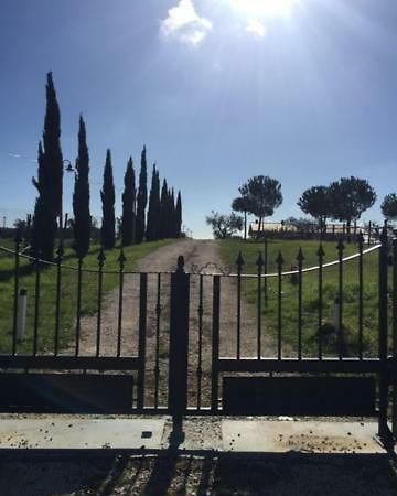 Agriturismo Casale San Benedetto Ceri Bagian luar foto