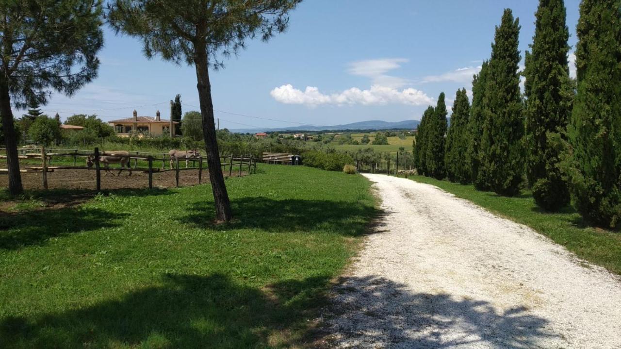 Agriturismo Casale San Benedetto Ceri Bagian luar foto
