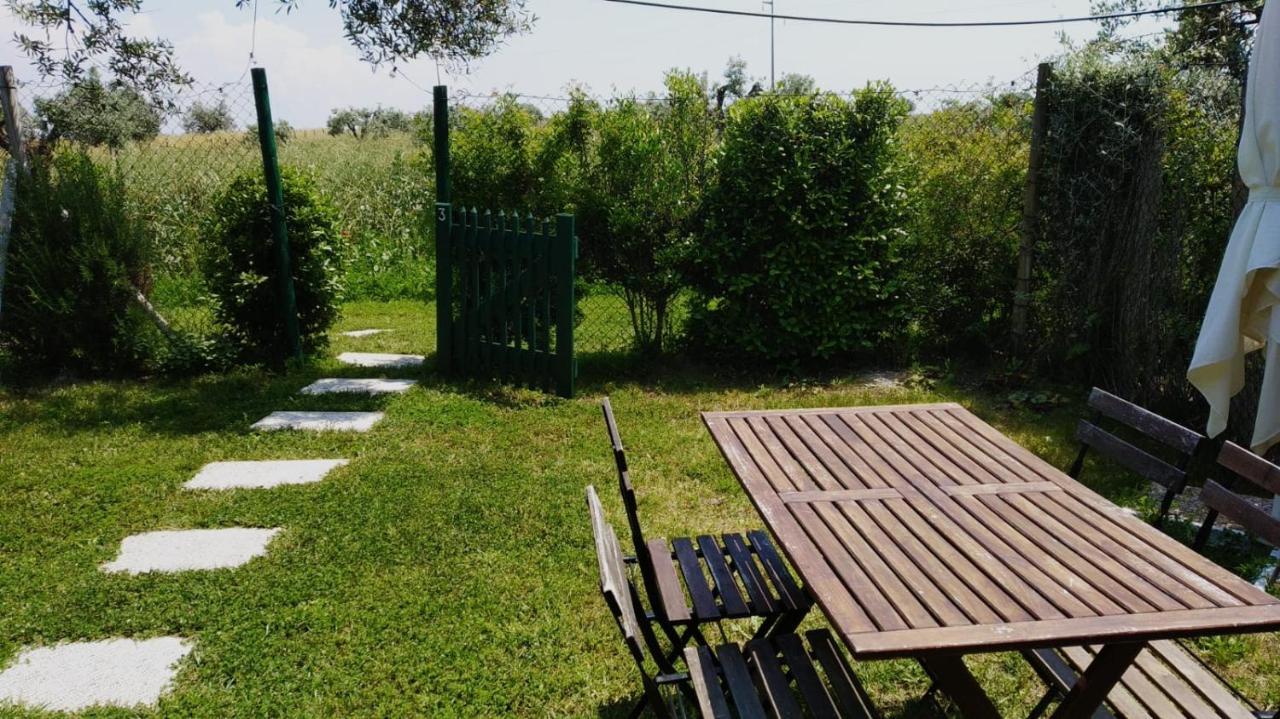 Agriturismo Casale San Benedetto Ceri Bagian luar foto